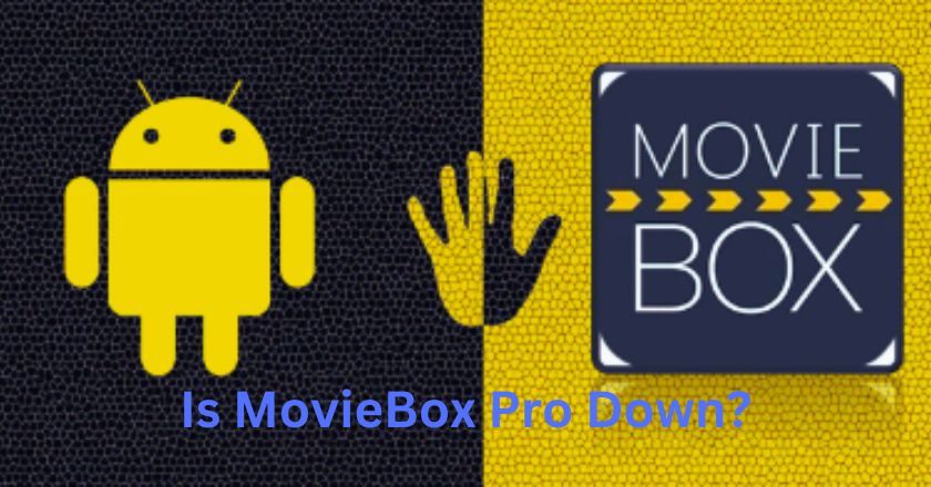 Is moviebox pro down